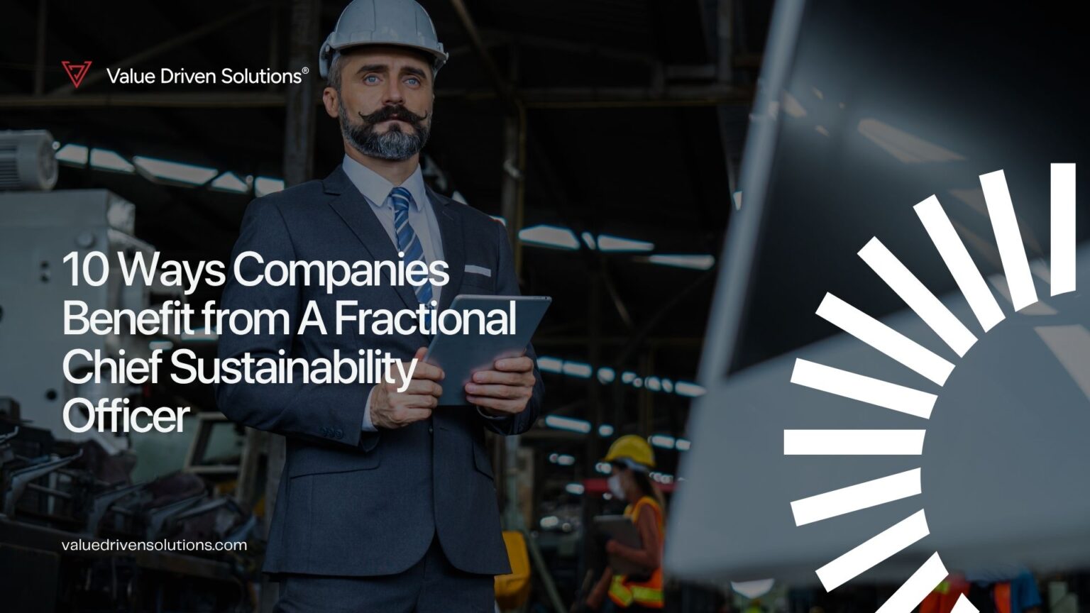 10 Ways Companies Benefit from A Fractional Chief Sustainability Officer - Value Driven Solutions VDS