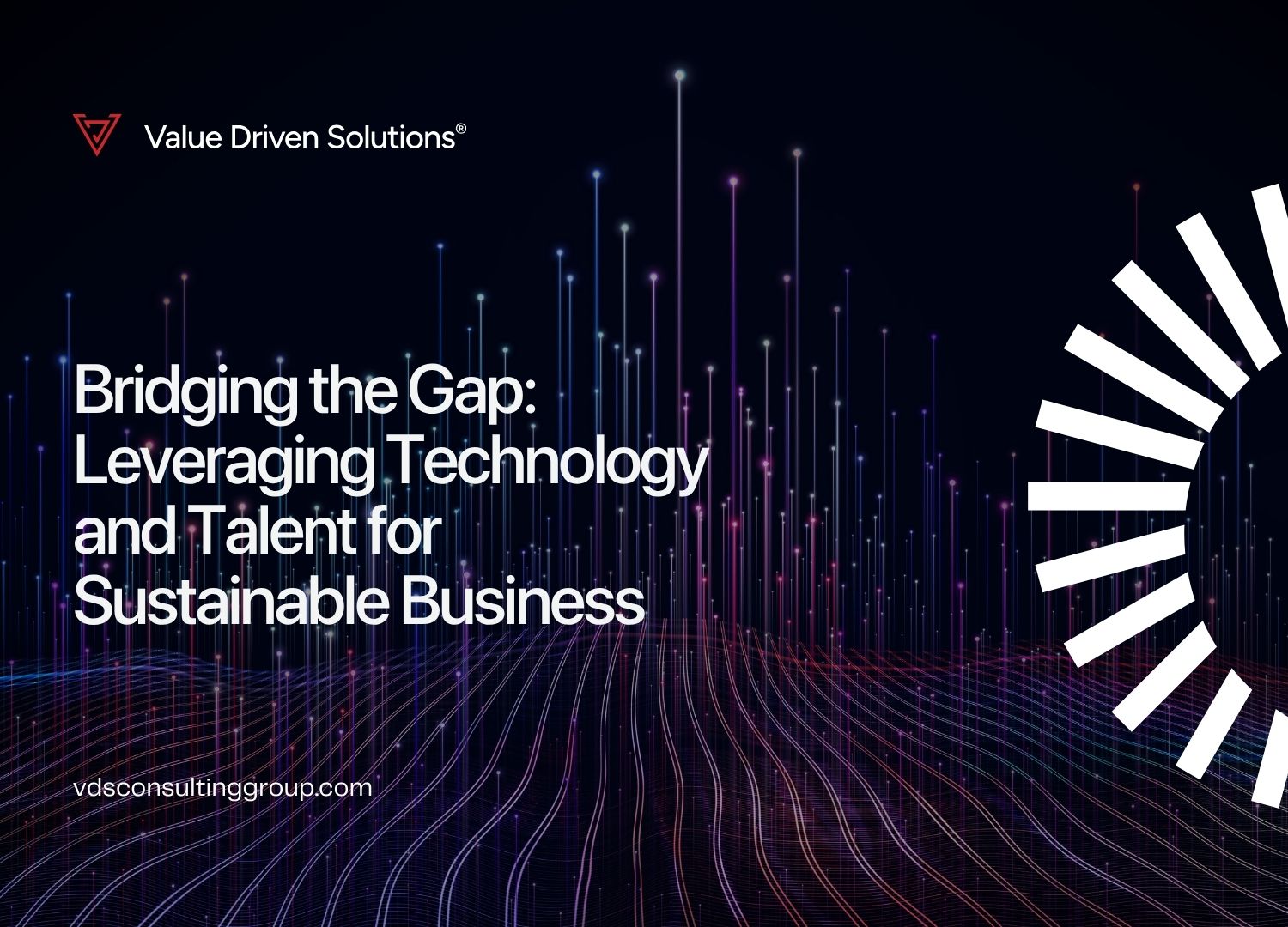 Bridging the Gap: Leveraging Technology and Talent for Sustainable Business - VDS Website Blog
