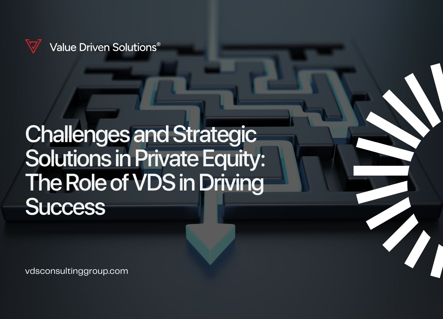 Challenges and Strategic Solutions in Private Equity: The Role of VDS in Driving Success