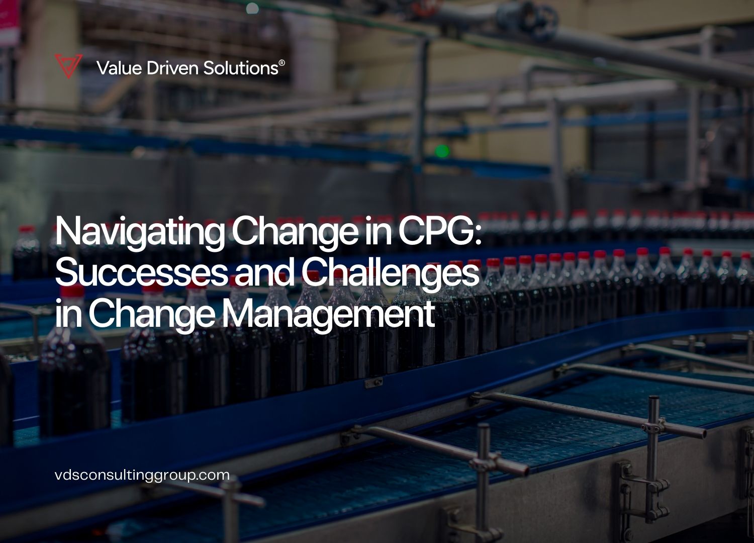 Navigating Change in CPG: Successes and Challenges in Change Management - Value Driven Solutions - VDS Consulting