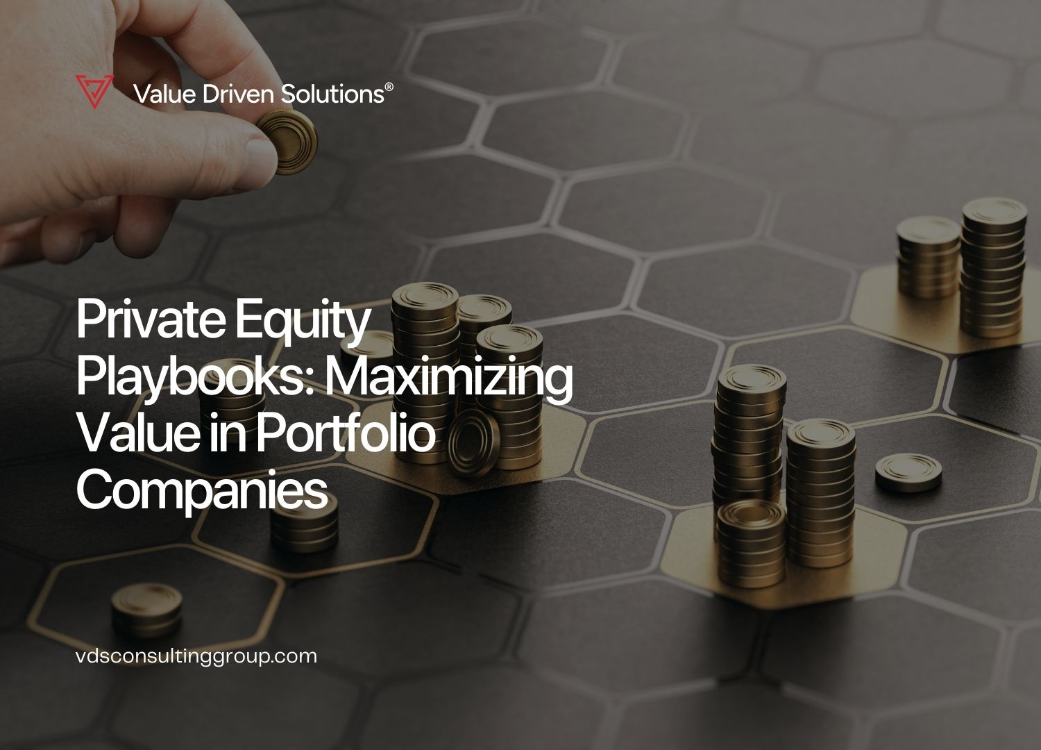 Private Equity Playbooks: Maximizing Value in Portfolio Companies - Value Driven Solutions - VDS Consulting
